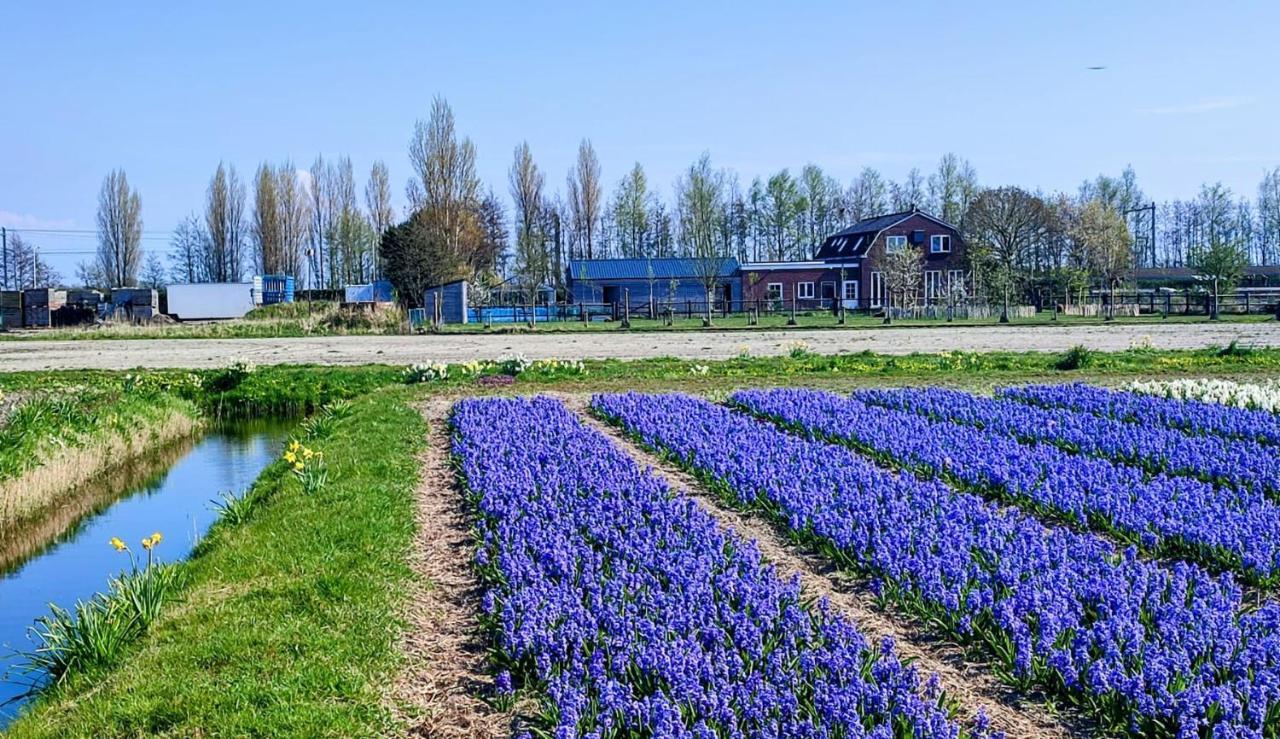 Het Dijkstuk Villa Noordwijkerhout Kültér fotó