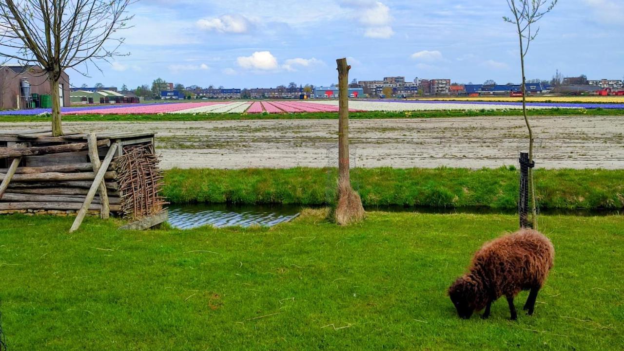 Het Dijkstuk Villa Noordwijkerhout Kültér fotó